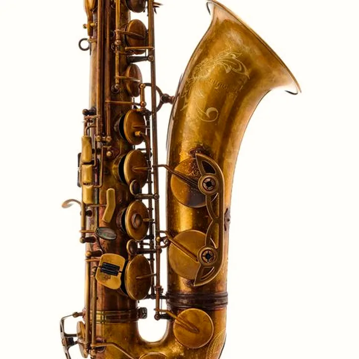 Schagerl SuperiorPro Tenor Sax T-2V