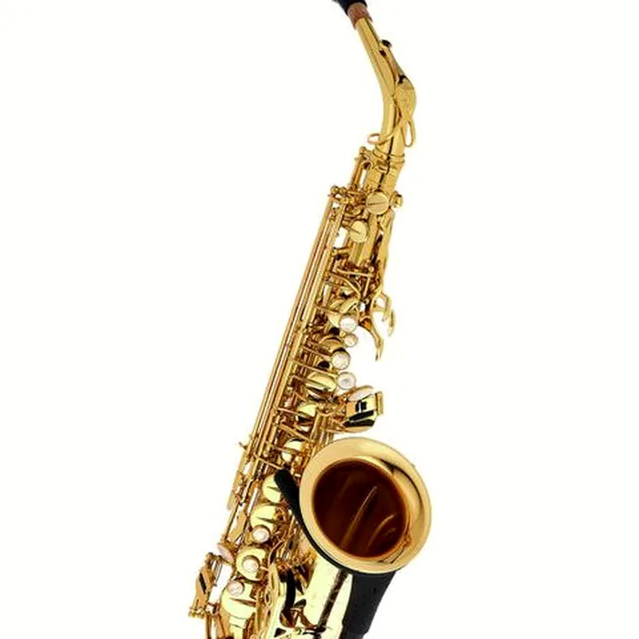 Selmer Axos Alto Sax