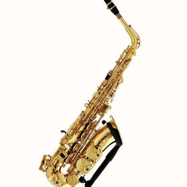 Selmer Axos Alto Sax