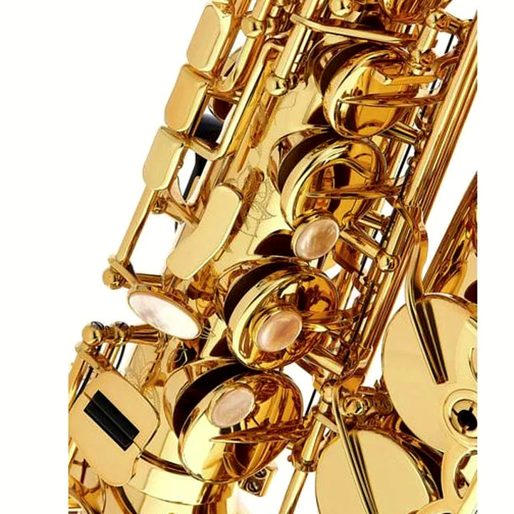 Selmer Axos Alto Sax