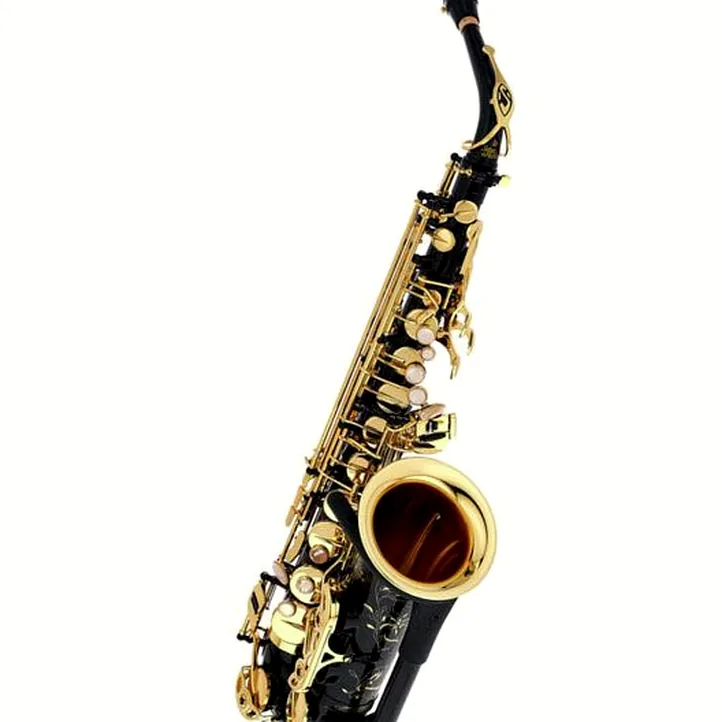 Selmer SE-A2B Black Alto Sax