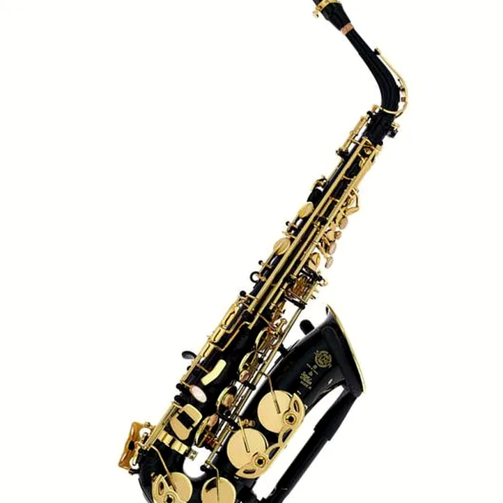 Selmer SE-A2B Black Alto Sax