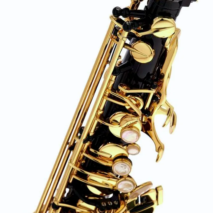 Selmer SE-A2B Black Alto Sax