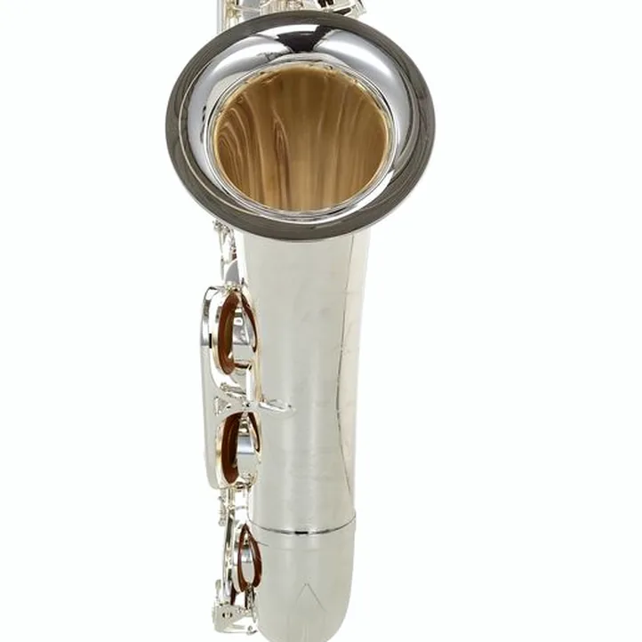 Selmer Signature Tenor Sax SE-TSIS