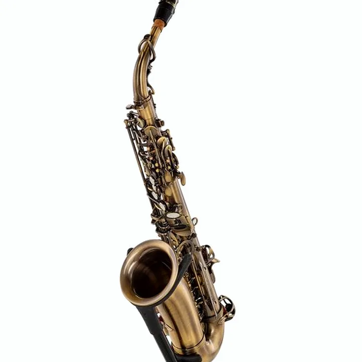 Thomann Antique Alto Sax Alto Sax Set