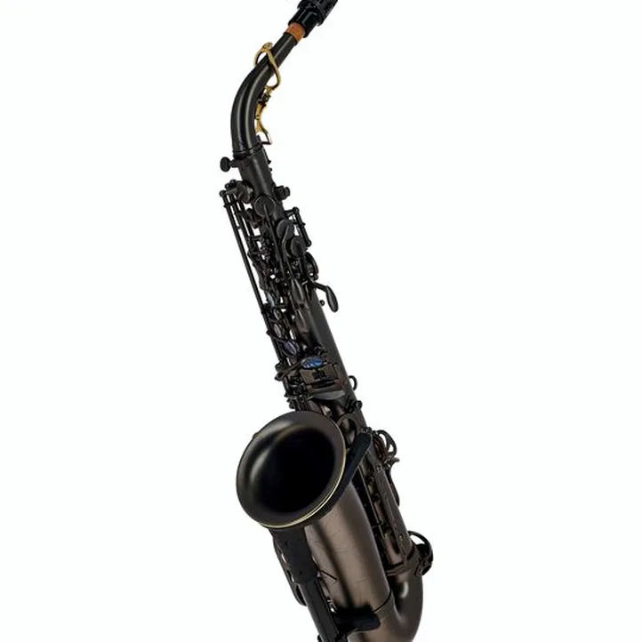 Thomann Blacky Alto Sax
