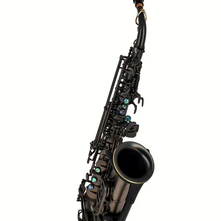 Thomann Blacky Alto Sax