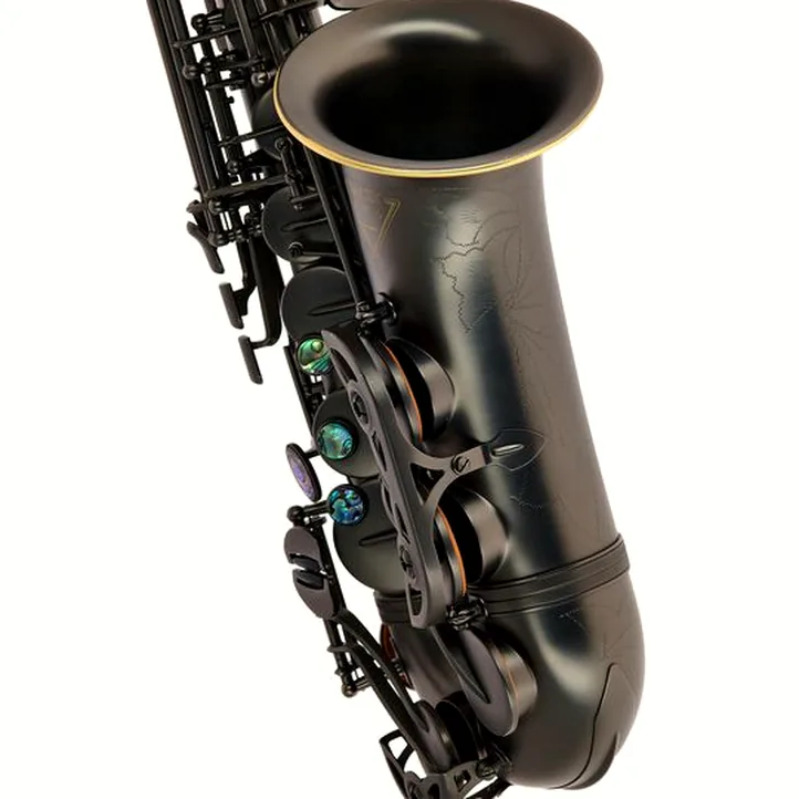Thomann Blacky Alto Sax