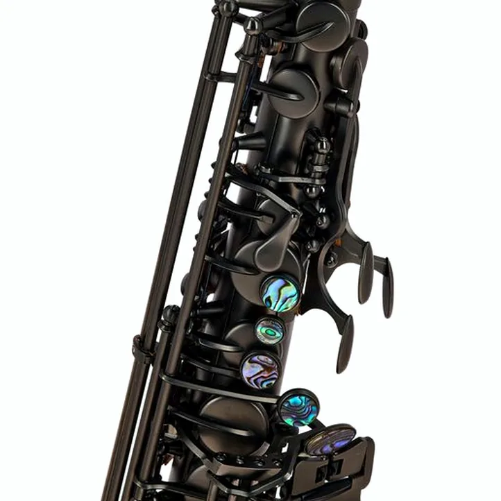 Thomann Blacky Alto Sax