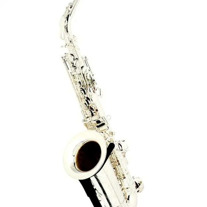 Thomann ALBSS Custom Line Alto Sax