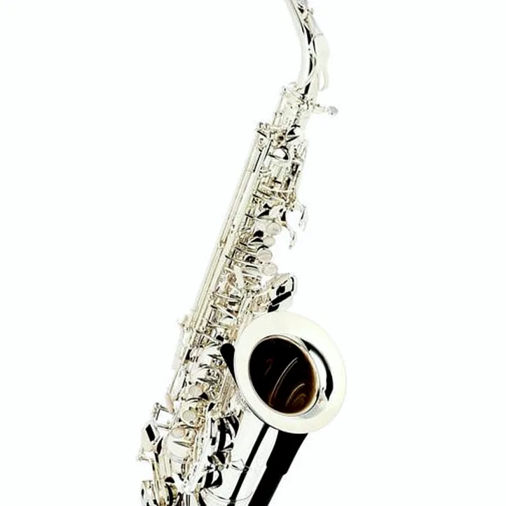 Thomann ALBSS Custom Line Alto Sax