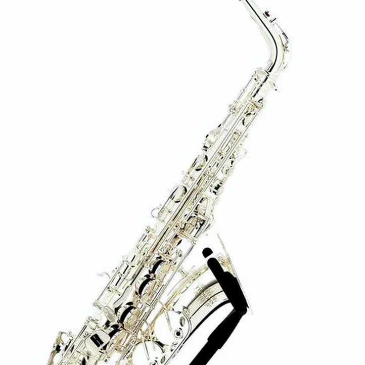 Thomann ALBSS Custom Line Alto Sax