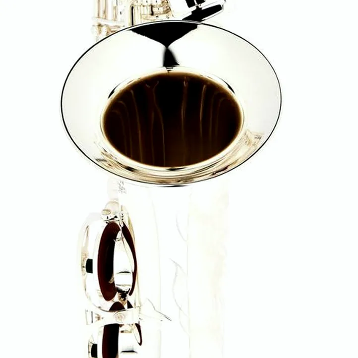 Thomann ALBSS Custom Line Alto Sax