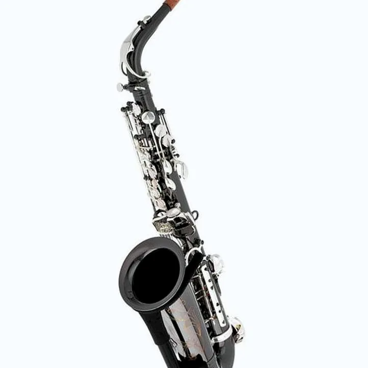 Thomann ASBBS Custom Line Alto Sax