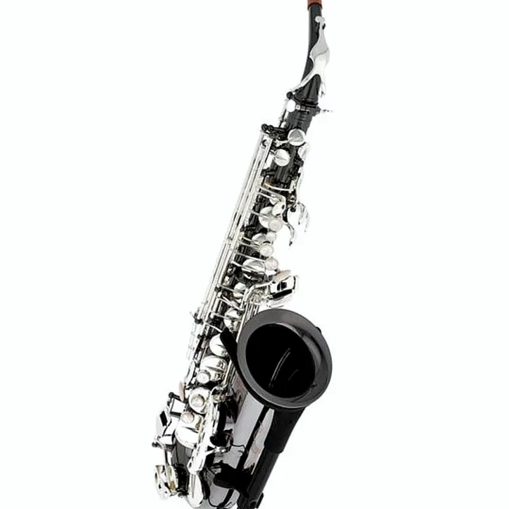 Thomann ASBBS Custom Line Alto Sax