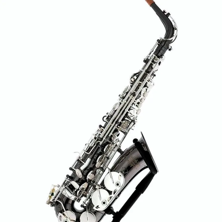 Thomann ASBBS Custom Line Alto Sax