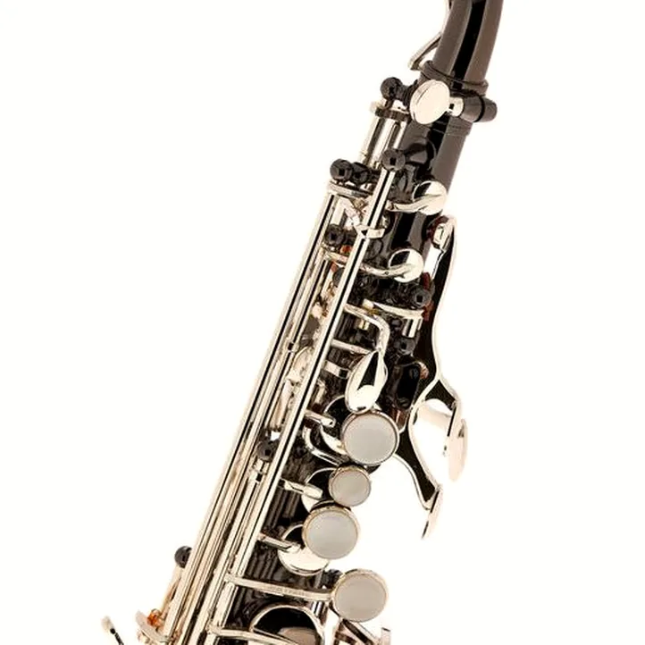 Thomann CSBS Custom Line Soprano Sax
