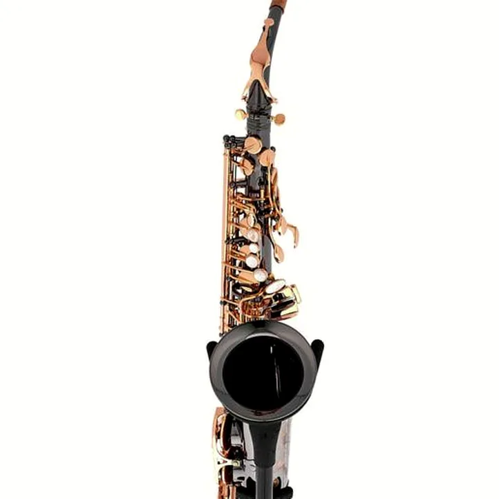 Thomann ASBBG Custom Line Alto Sax