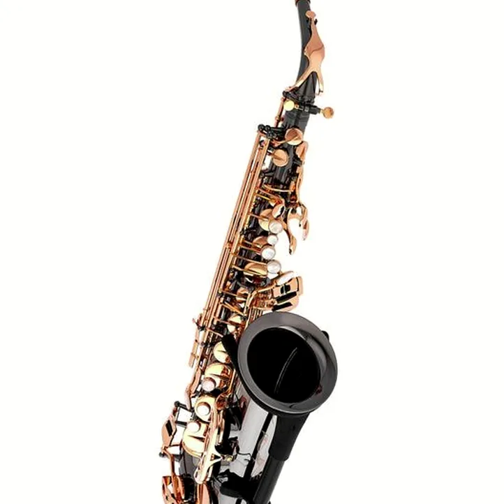 Thomann ASBBG Custom Line Alto Sax