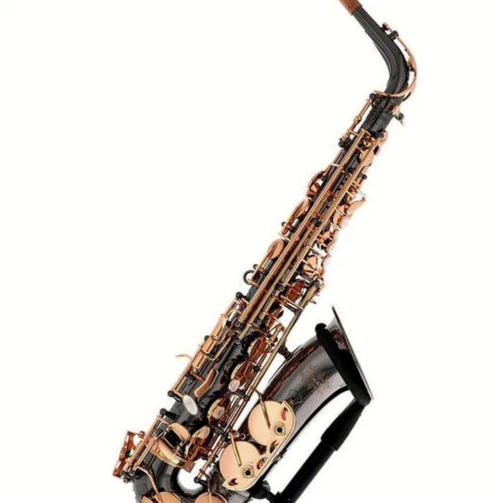 Thomann ASBBG Custom Line Alto Sax