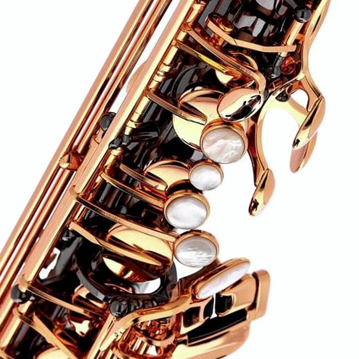 Thomann ASBBG Custom Line Alto Sax
