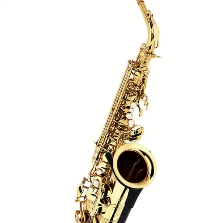 Thomann ASBGG Custom Line Alto Sax