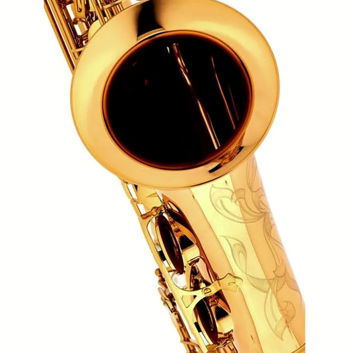 Thomann Custom Line Bronze TLBBZG