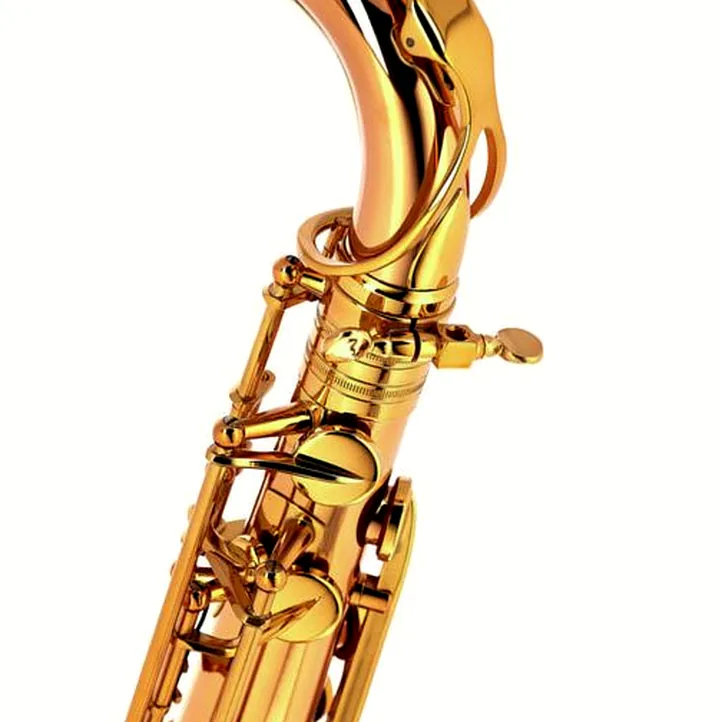 Thomann Custom Line Bronze TLBBZG