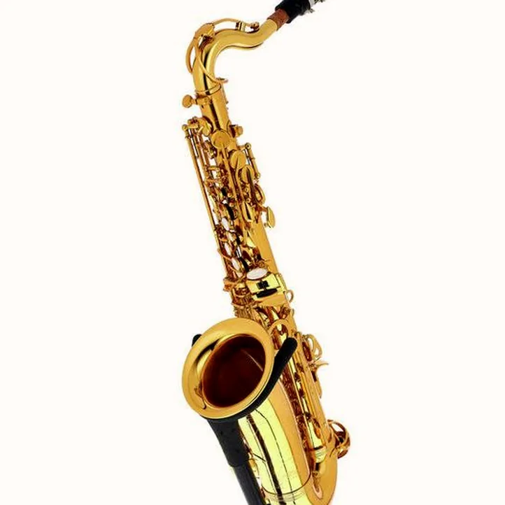 Thomann Little Bee Kids Saxophone Set