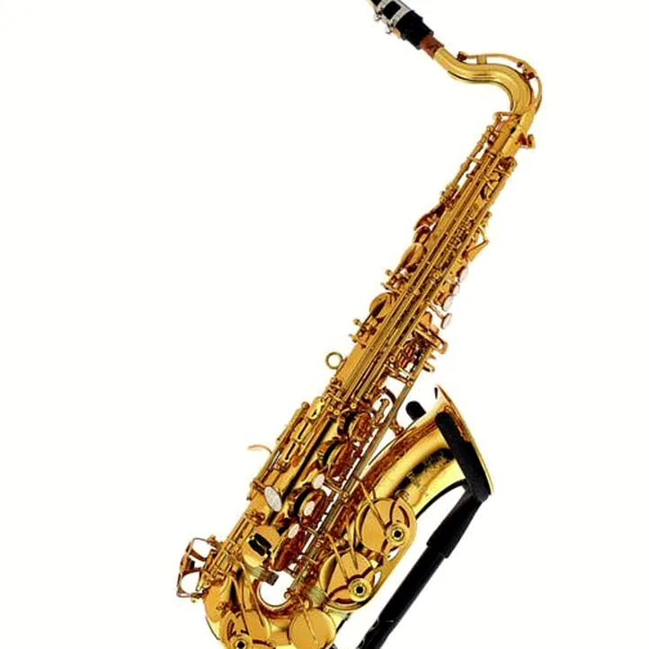 Thomann Little Bee Kids Saxophone Set