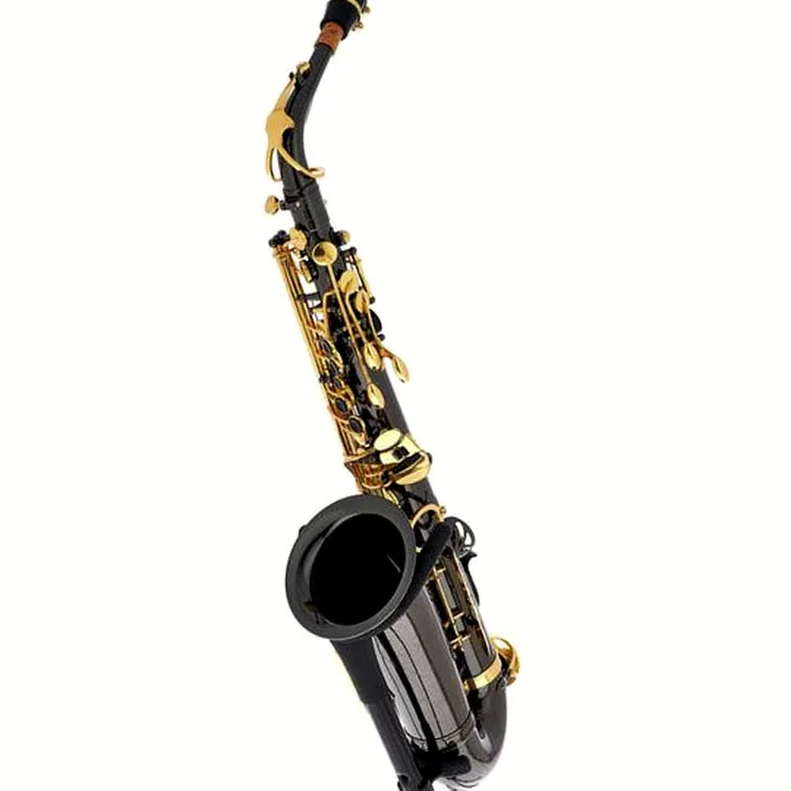 Thomann TAS-180 Black Alto Sax Set