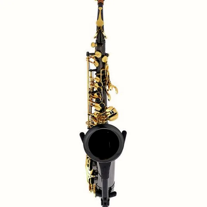 Thomann TAS-180 Black Alto Sax Set