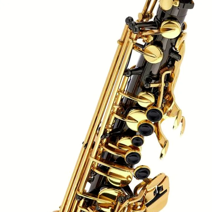 Thomann TAS-180 Black Alto Sax Set