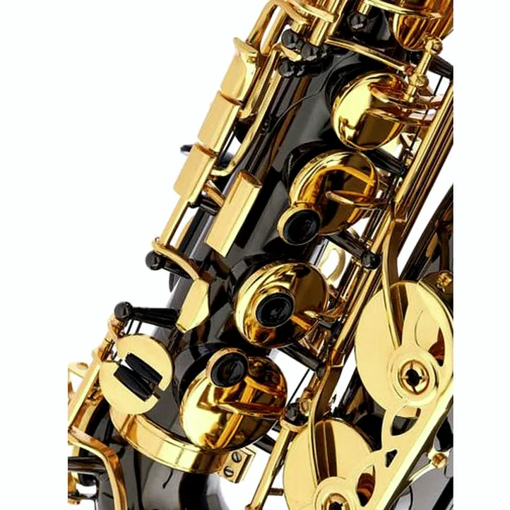 Thomann TAS-180 Black Alto Sax Set