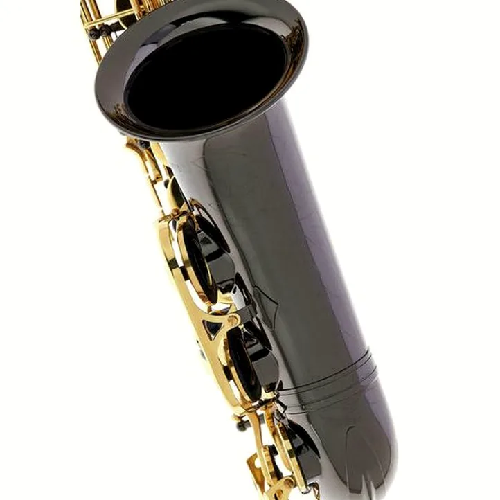 Thomann TAS-180 Black Alto Sax Set