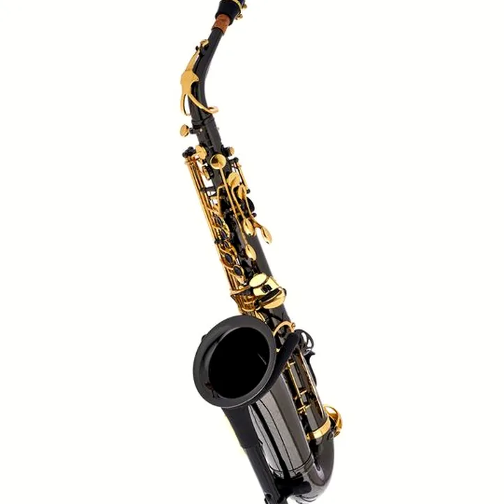 Thomann TAS-180 Black Alto Sax Set II