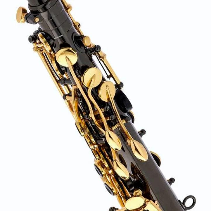 Thomann TAS-180 Black Alto Sax Set II