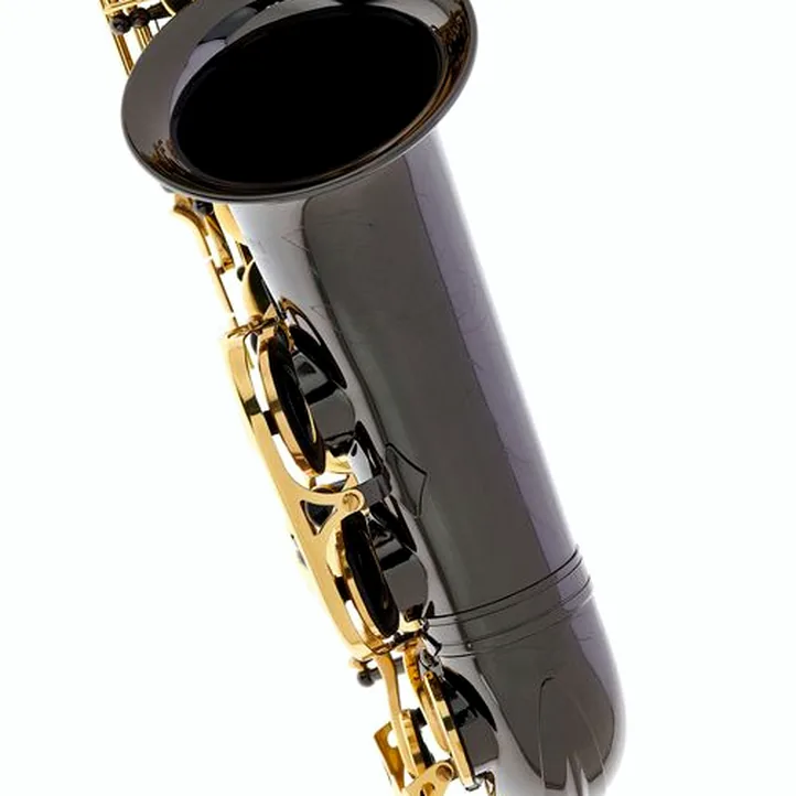 Thomann TAS-180 Black Alto Sax Set II