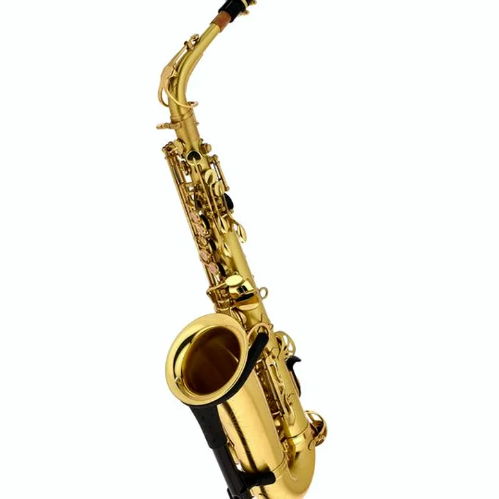 Thomann TAS-180 Matt Alto Sax