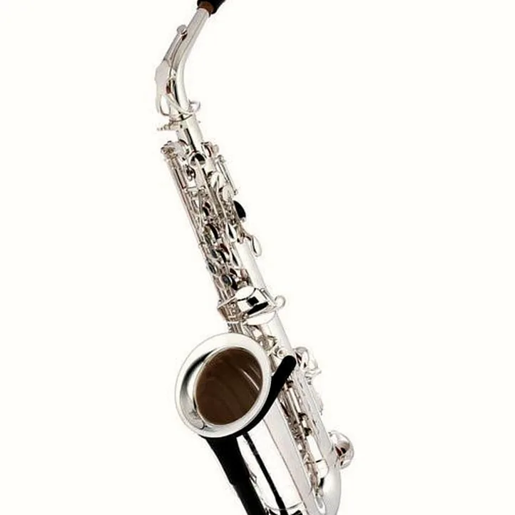 Thomann TAS-580 GS Alto Sax