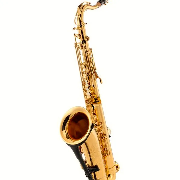 Yamaha YTS-480 Tenor Sax Set