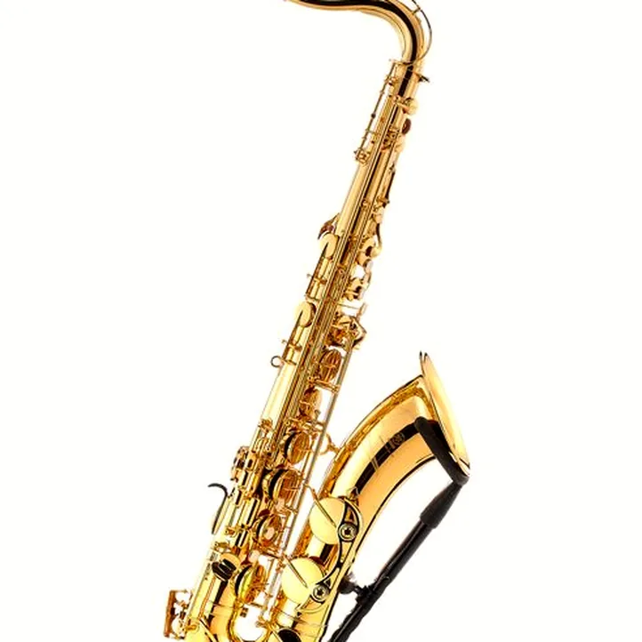 Yamaha YTS-480 Tenor Sax Set
