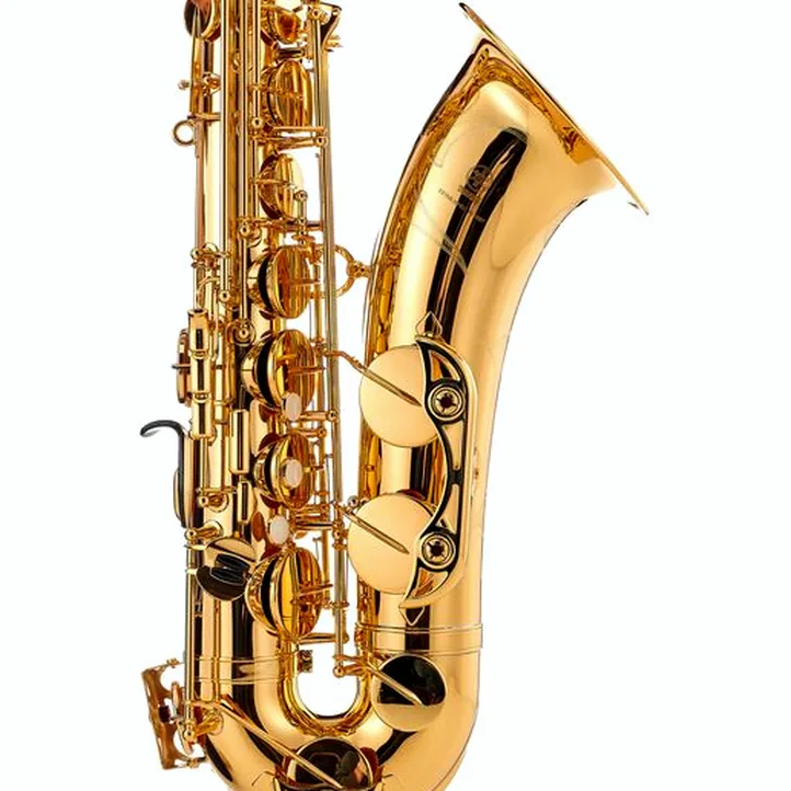 Yamaha YTS-480 Tenor Sax Set