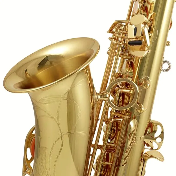 Yanagisawa A-WO1 Alto Sax