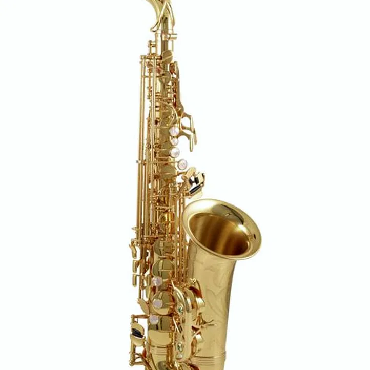 Yanagisawa A-WO1 Alto Sax