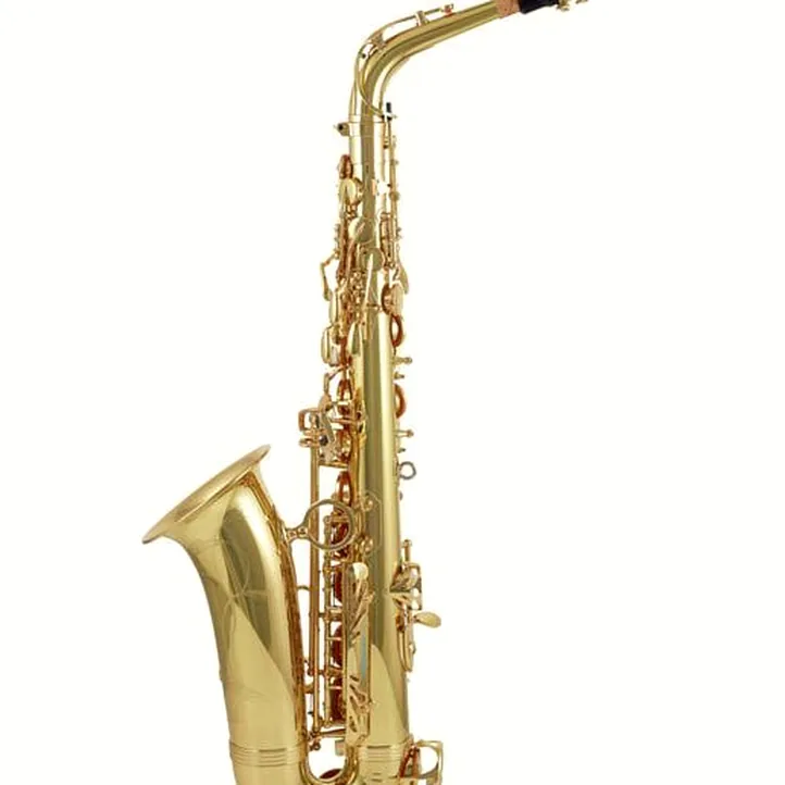 Yanagisawa A-WO1 Alto Sax