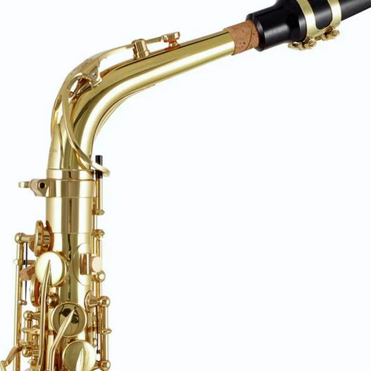 Yanagisawa A-WO1 Alto Sax