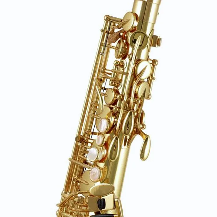 Yanagisawa A-WO1 Alto Sax