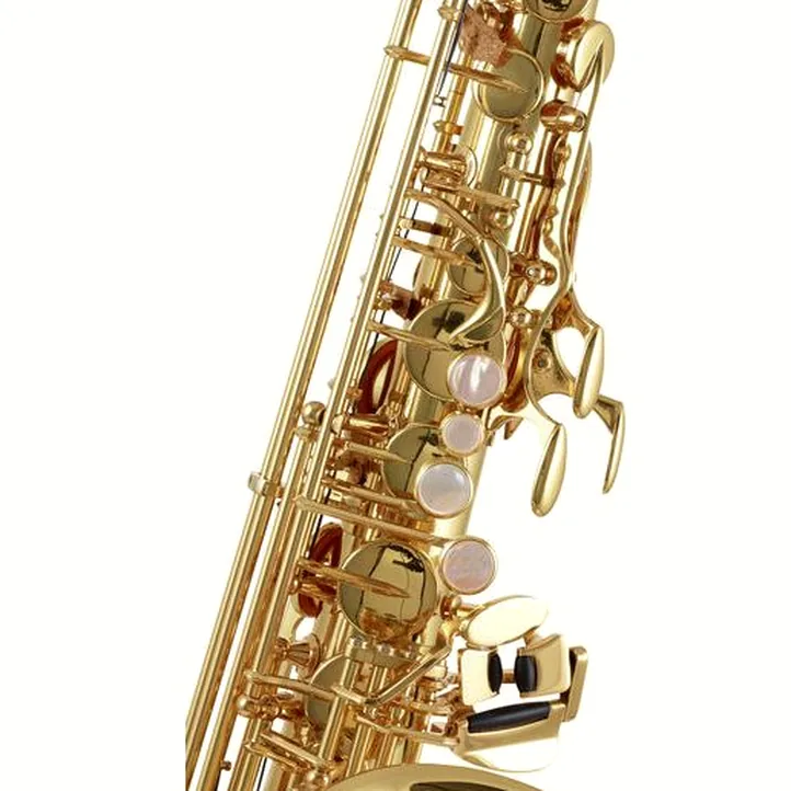 Yanagisawa A-WO1 Alto Sax