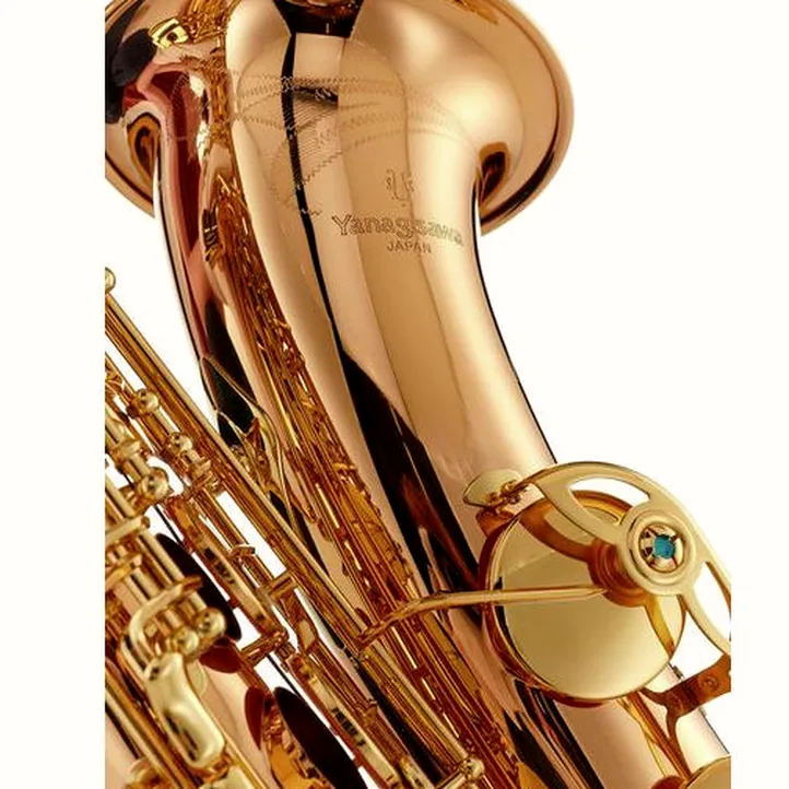 Yanagisawa T-WO2 Tenor Sax